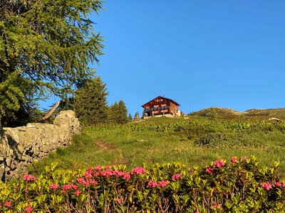 Galmihornhütte (2113m) | Hurschler Franziska & Niederberger Pius